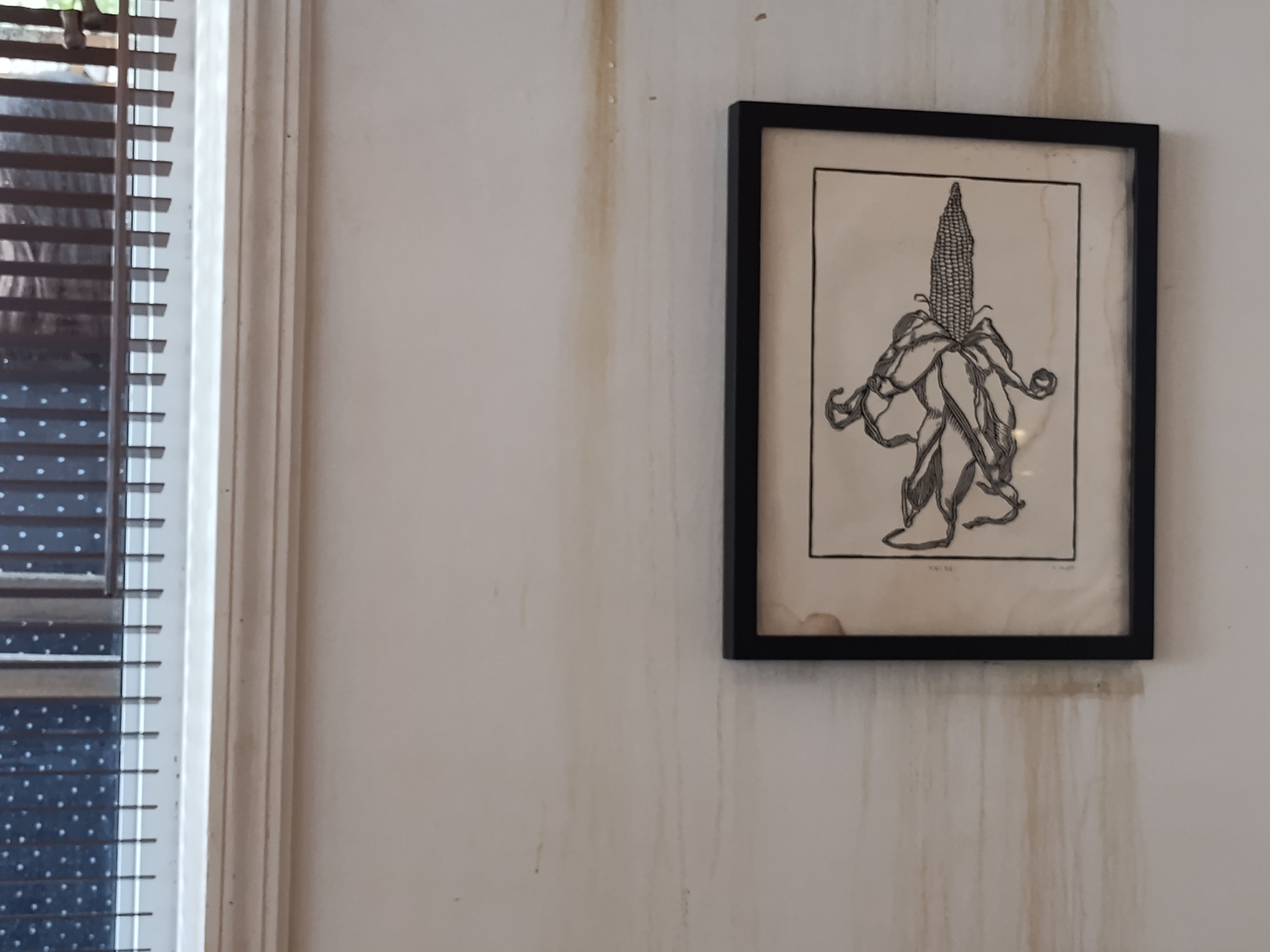 Framed botanical illustration of a corn plant — artwork for Mi Masa es Tu Masa